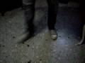 videos de MI AMIGA BAILA ELECTRO (? JAJA