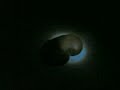 Ufo Kiwi