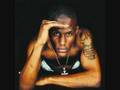 Canibus & DMX Freestyle (lyrics on description)
