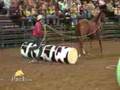 USA Tour Billings Highlights