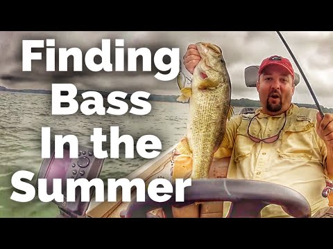 how to locate bass
