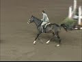 Madison N Fifth Second years at Harrisburg
