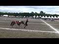 pony games lamotte 2008 ptits diables à pied à cheval finale
