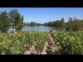 Voir la vid&eacute;o