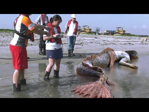 Beach पर मिली ये अजीब चीज़ें| Strangest Things Found on the Beach