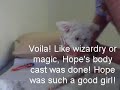 YouTube - Hope Visits the Wizards