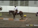 Congress Sr. Trail- FF Zip to the Stars