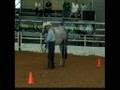 For Sale Yearling Quarter Horse Filly