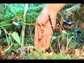 AZ of Bushcraft (T for Trap)