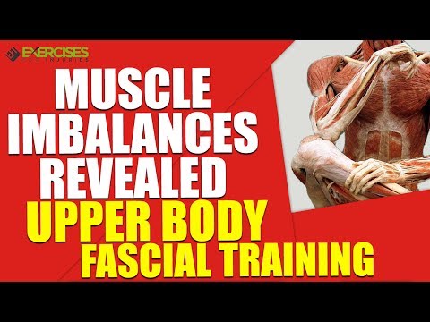 Muscle Imbalances Revealed Upper Body Fascial Training