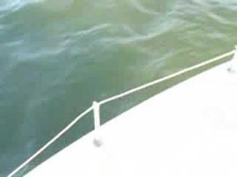 sailing near Inch Arran Dalhousie, ...