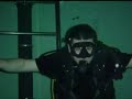 Nemo 33 Nemo 33