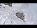 Mount Whitney Mountaineers Route (Part III)