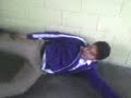 anti wisy 2 anti wisy 2