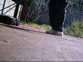 A Cwalk Tutorial by noob 4 noobz