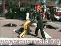 Movieland Kill Bill