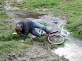 German Jackass