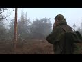 Moose hunting with dogs by Kristoffer Clausen Moose hunting with dogs by Kristoffer Clausen