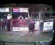 bullridin