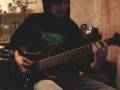 Despised Icon - Immaculate (cover)