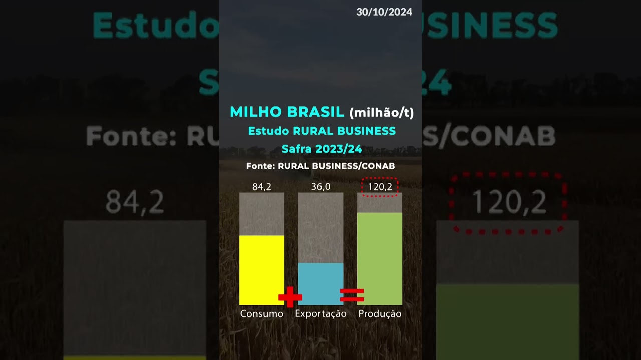 Milho: Abra O Olho! Estão Tentando Te Fazer De Bobo!