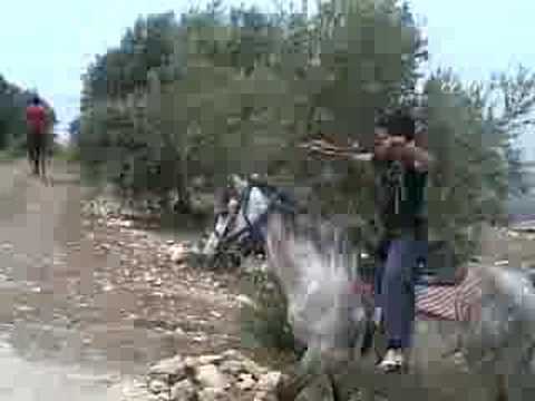 احلا خيالي