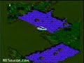 www.nesguide.com
