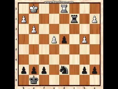 chess knight