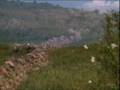 Haiti In Need After Storms