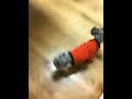 Video of Kava