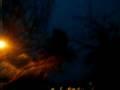 videos de Il Sogno Di Luci (Dream Of Lights)