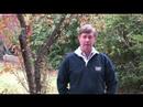 Beechworth Testimonial - Mark