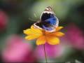For you
