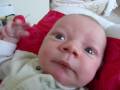 YouTube - 20090123-31 Eleanor's week of firsts.