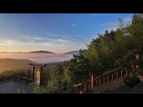 NIKAYA TrìnhPháp Sau 3 Tháng Nhập Thất-Tất Cả Pháp Lấy Dục Làm Căn Bản-Mạnh Mẽ Vượt Qua Chướng Ngại!