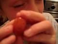 videos de HappyFace Grape