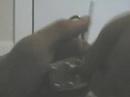 Lock picking 127