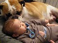 LOVE DOG CHILDREN BULLDOG