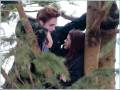 Watch Twilight full movie (This page Links to a website where it is possible to watch twilight!)