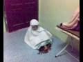 videos de 02122008039.mp4