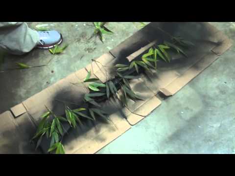 how to spray paint a bb gun