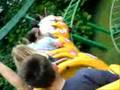Ortobruco tour - Gardaland