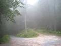 Holston Cross