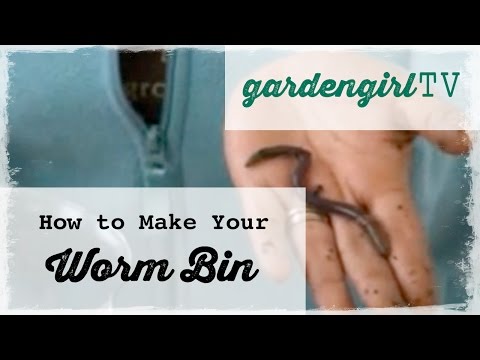worms - Watch this step by step video on setting up an indoor worm bin for your kitchen scraps. You will be able to raise worms, keep your kitchen scraps out of the ...