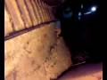 videos de LUGE AVK BESTAH && ELOW :P Mdrr