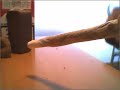 new porro muy bueno