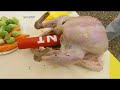Brainiac - Making Chicken the Lazyman's guide !