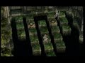 twilight princess- Stone Guardians