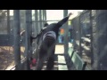 Example Kickstarts HD Bar 9 Remix Official Music Video
