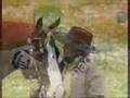 Cowgirls don't cry/re:horse video contest. plz rate!!